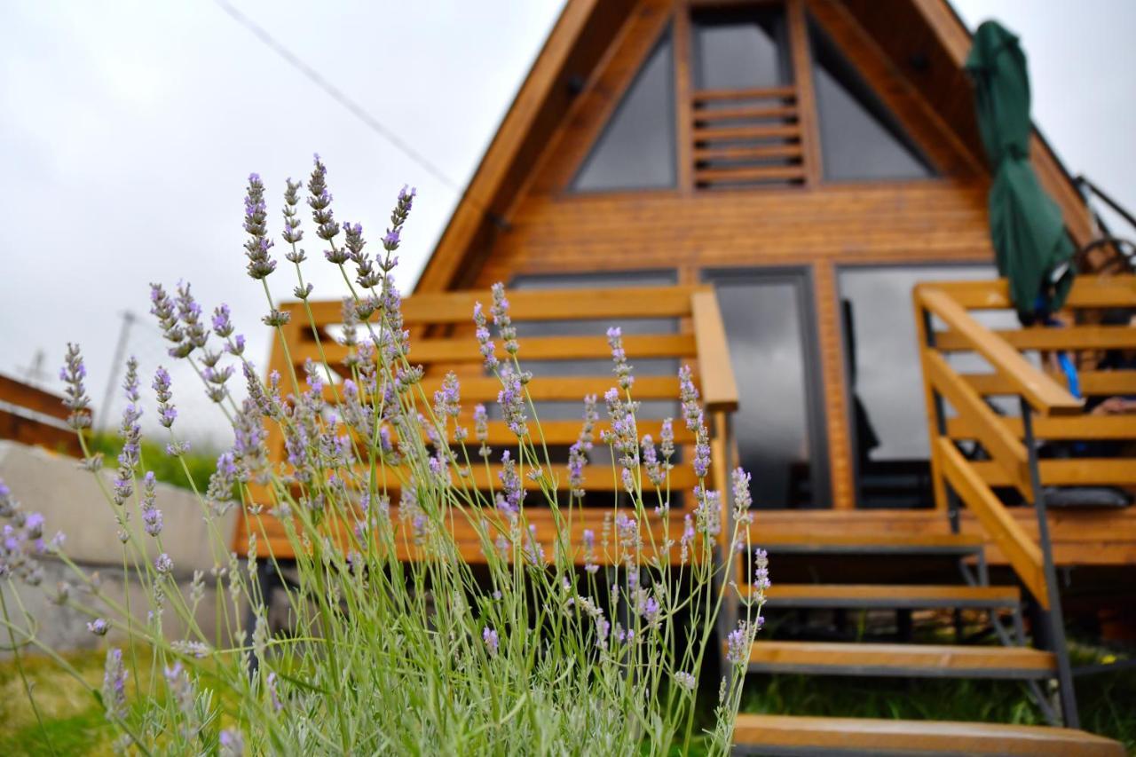 Kazbegi Spa Resort Cottages Exteriör bild